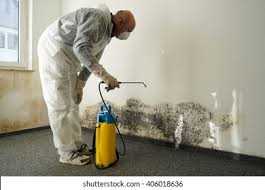  Rahway, NJ Mold Remediation Pros